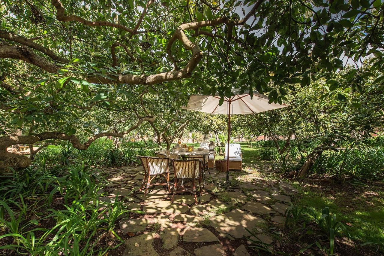 Homeforguest Rural House With Garden El Laurel Tacoronte Εξωτερικό φωτογραφία