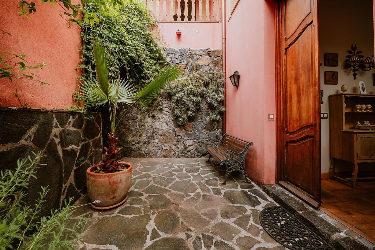 Homeforguest Rural House With Garden El Laurel Tacoronte Εξωτερικό φωτογραφία