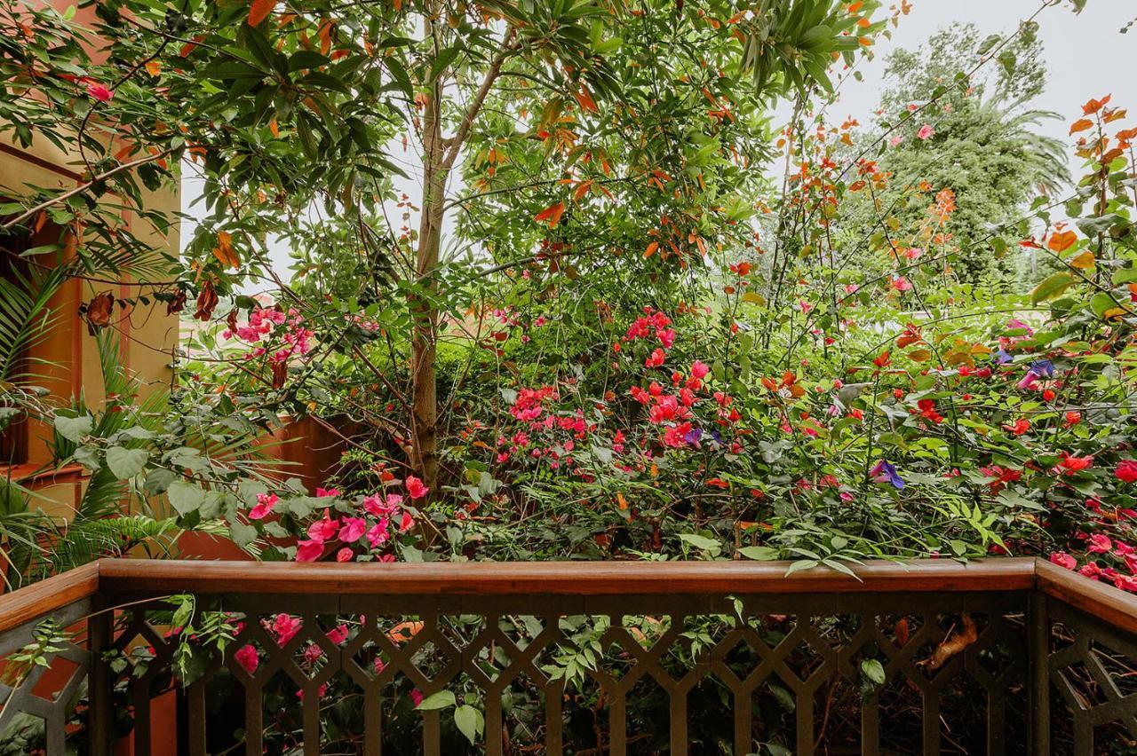 Homeforguest Rural House With Garden El Laurel Tacoronte Εξωτερικό φωτογραφία