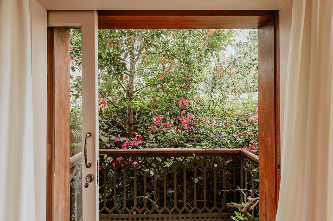 Homeforguest Rural House With Garden El Laurel Tacoronte Εξωτερικό φωτογραφία