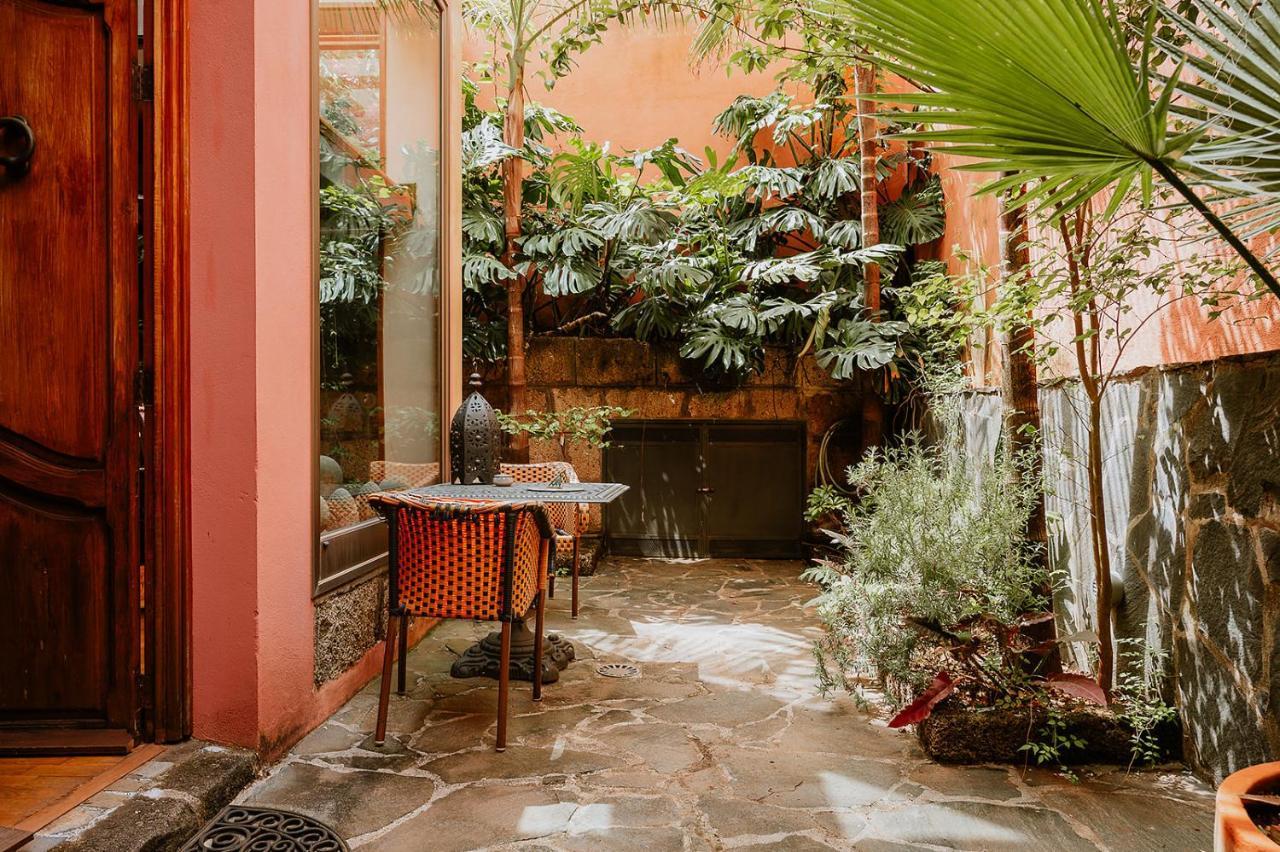 Homeforguest Rural House With Garden El Laurel Tacoronte Εξωτερικό φωτογραφία