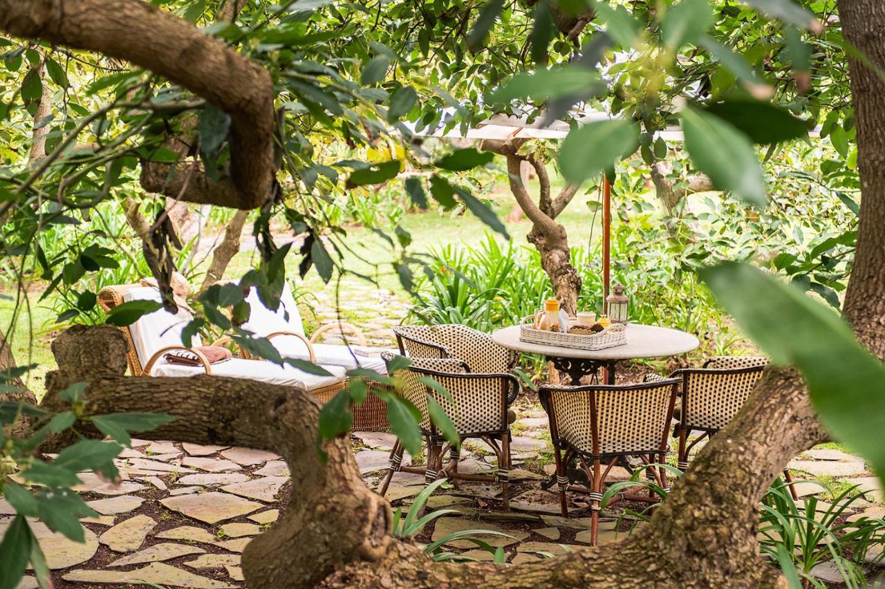 Homeforguest Rural House With Garden El Laurel Tacoronte Εξωτερικό φωτογραφία