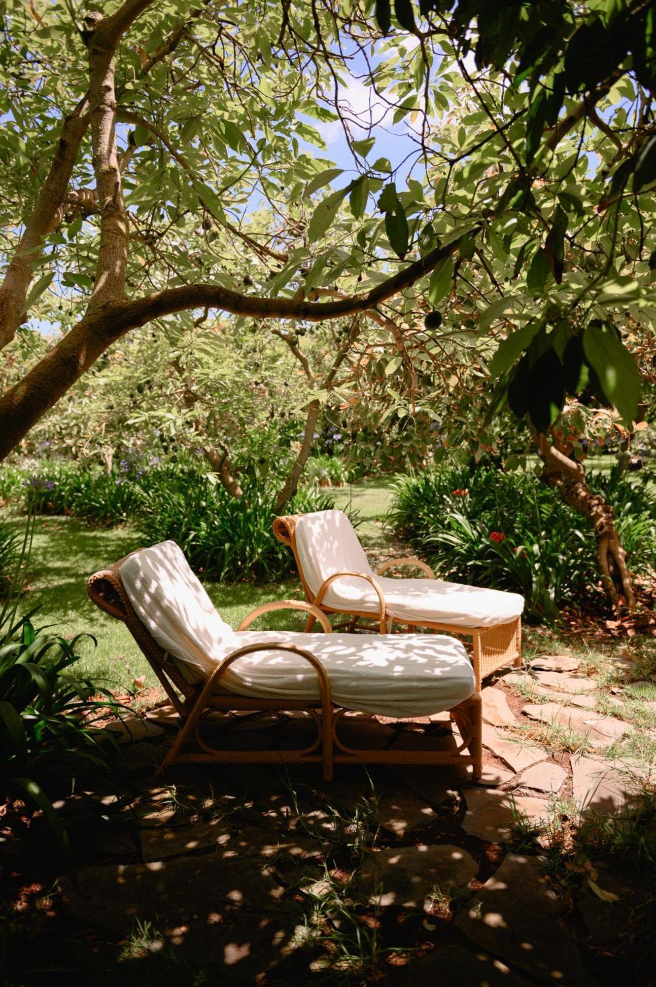 Homeforguest Rural House With Garden El Laurel Tacoronte Εξωτερικό φωτογραφία